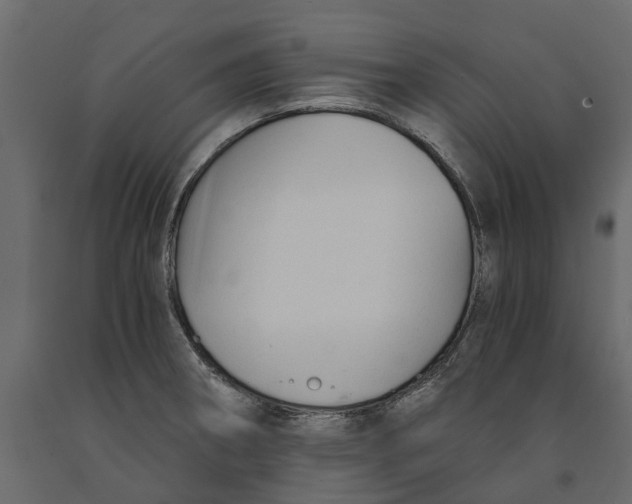 X0000090921282200708271017