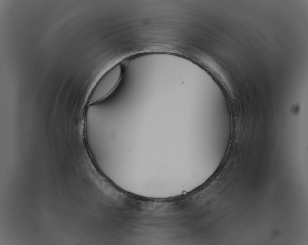 X0000090921284200708271017