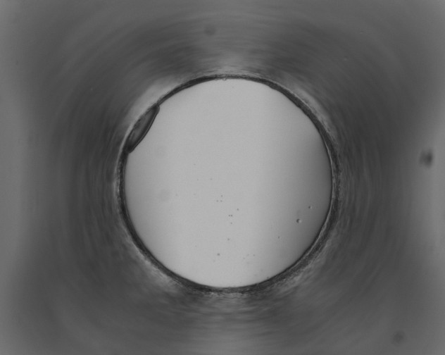 X0000090921285200708271017