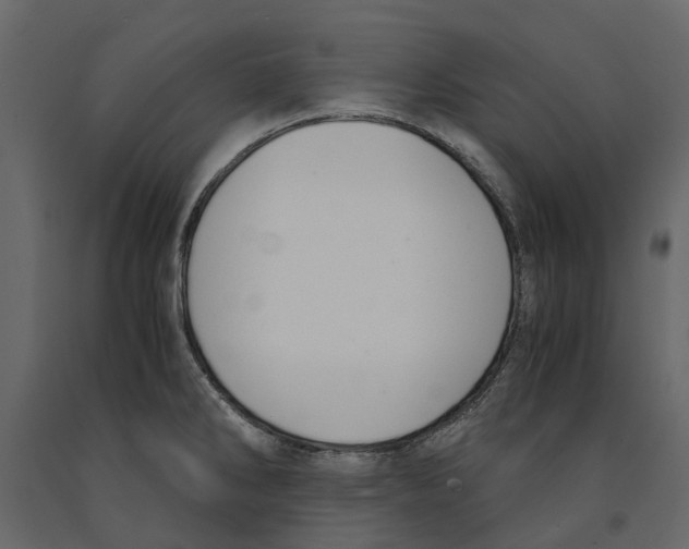 X0000090921286200708271017