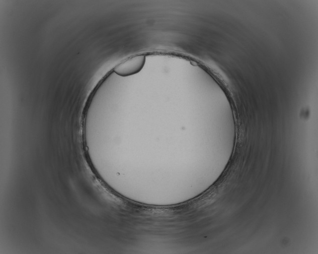 X0000090921287200708271017