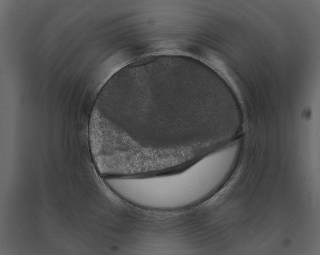 X0000090921289200708271017