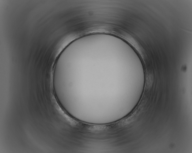 X0000090921290200708271017