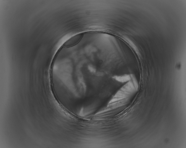 X0000090921291200708271017