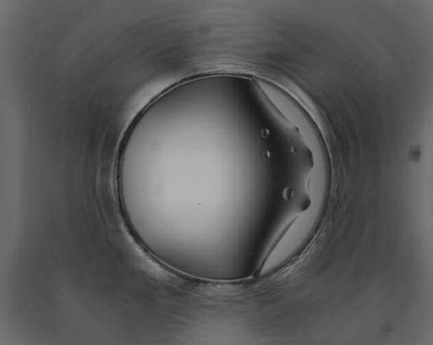 X0000090921293200708271017