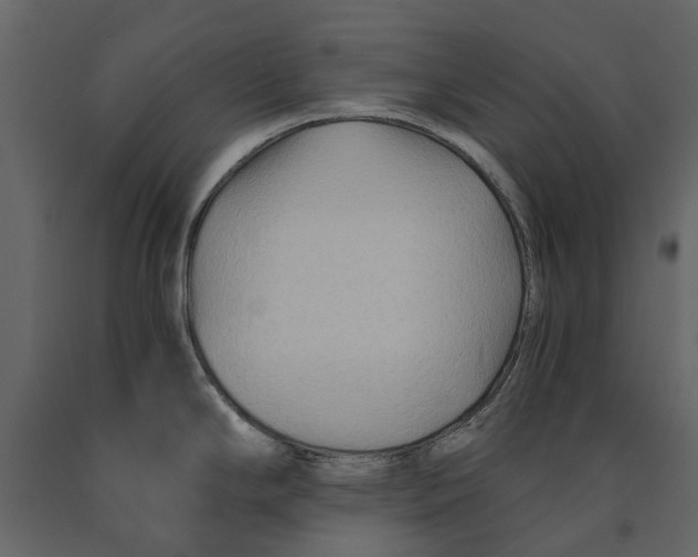 X0000090921294200708271017