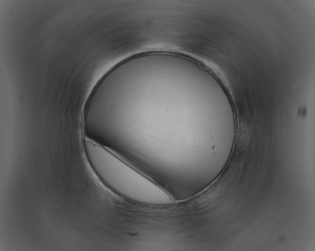 X0000090921295200708271017