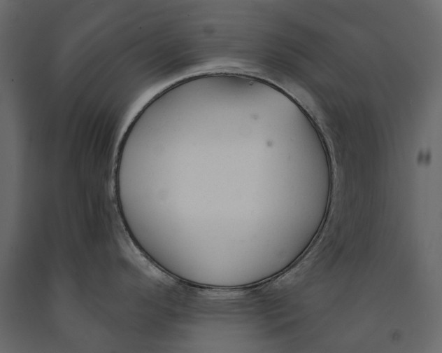 X0000090921296200708271017