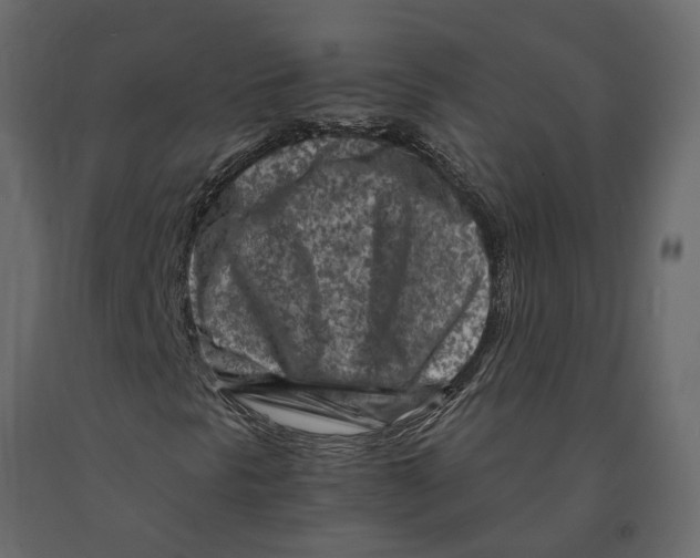 X0000090921297200708271016