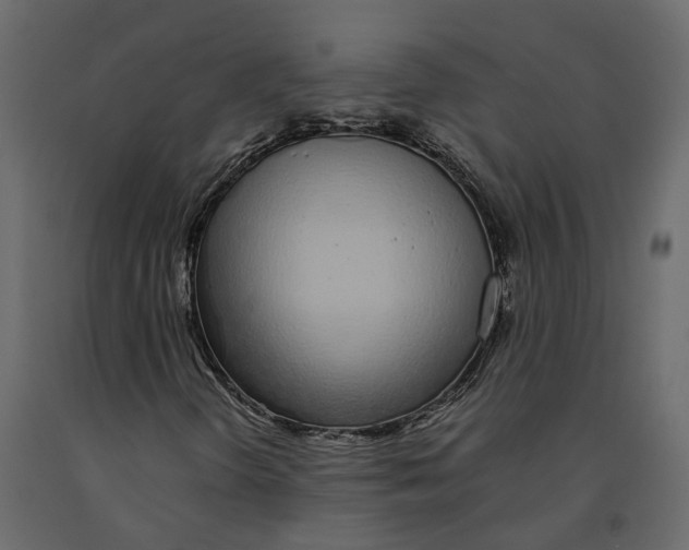 X0000090921298200708271016