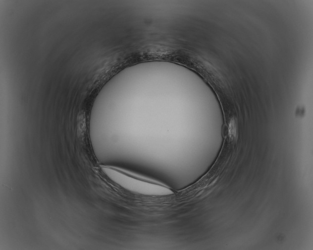 X0000090921299200708271016