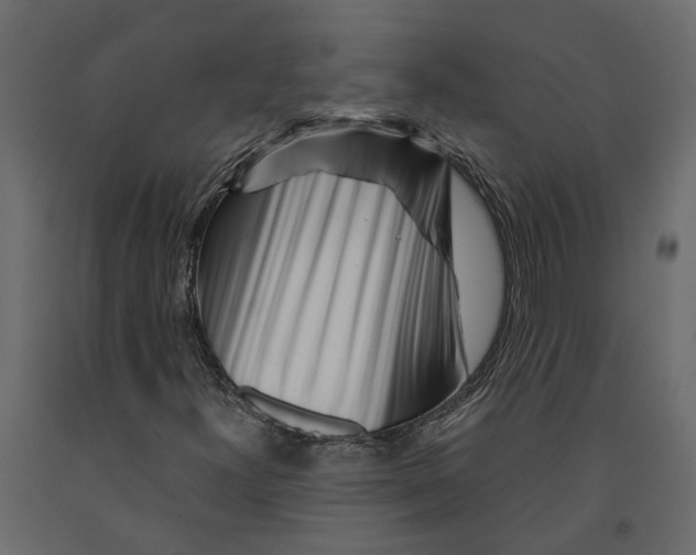 X0000090921300200708271016