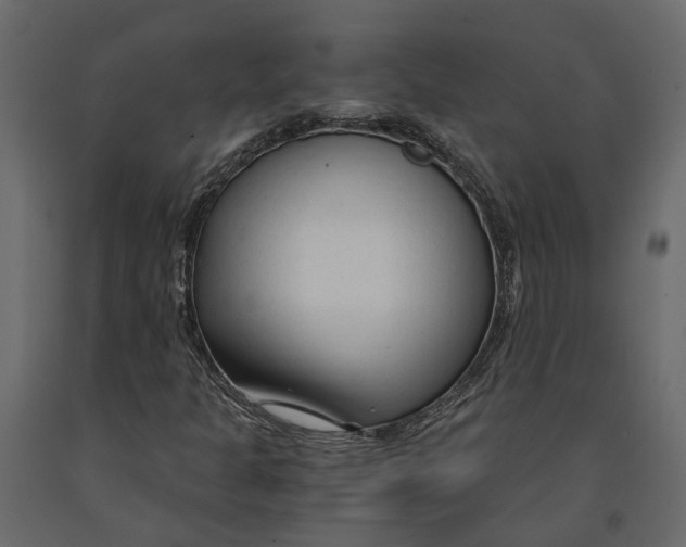 X0000090921301200708271016