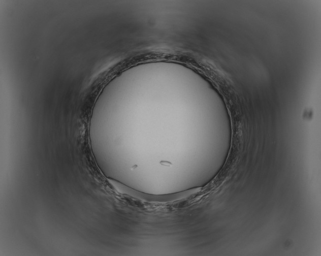 X0000090921302200708271016