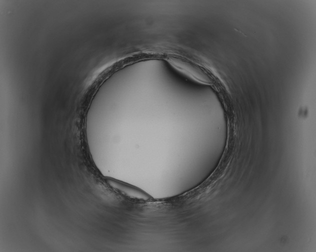 X0000090921304200708271016