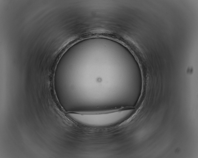 X0000090921305200708271016