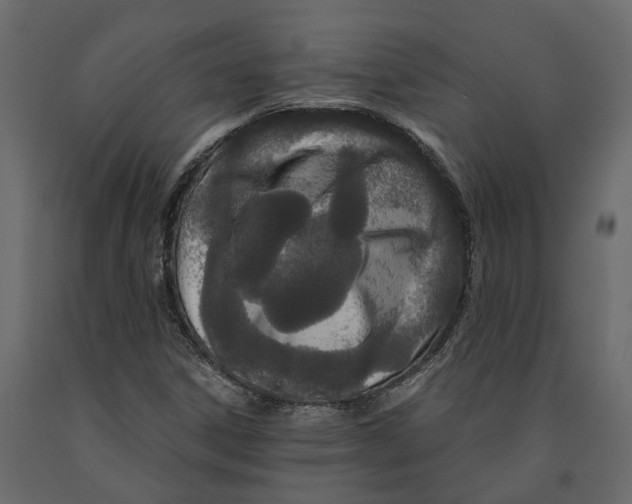 X0000090921306200708271016