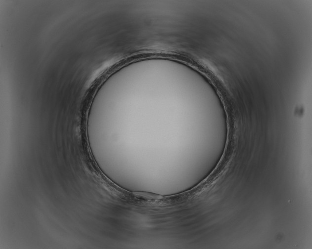 X0000090921307200708271016