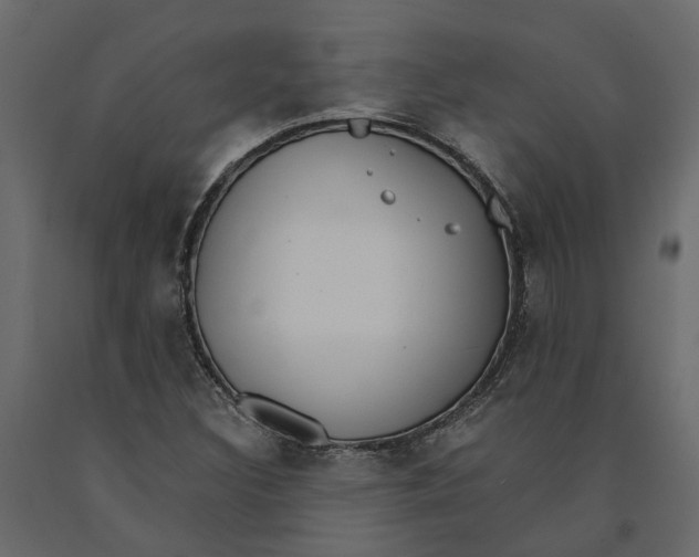 X0000090921308200708271016