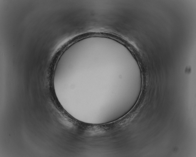 X0000090921311200708271016