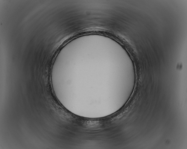 X0000090921313200708271017