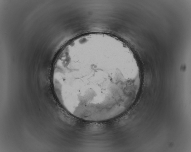 X0000090921314200708271017