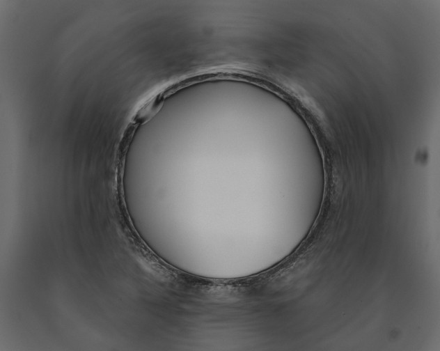 X0000090921316200708271017