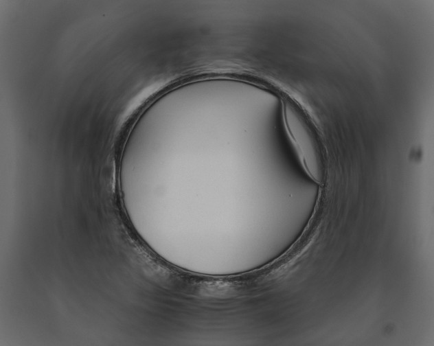 X0000090921317200708271017