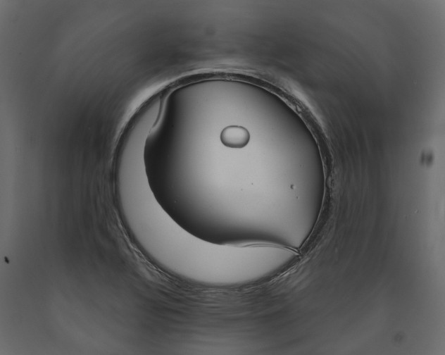 X0000090921320200708271017