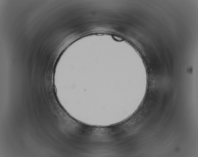 X0000090921322200708271017