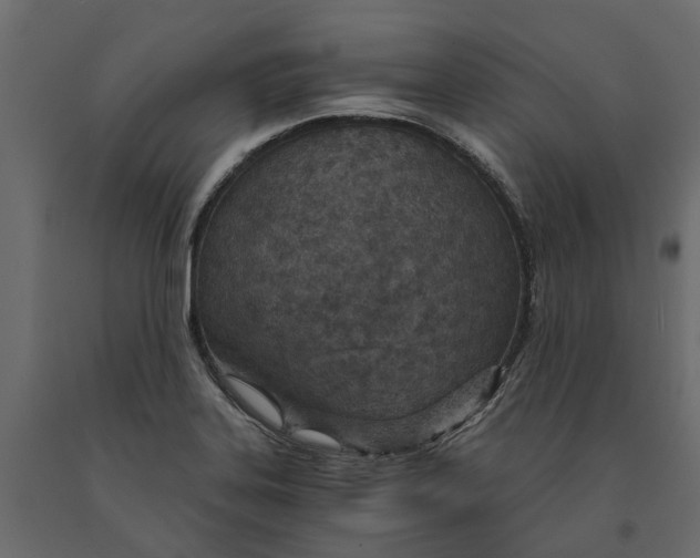 X0000090921323200708271017