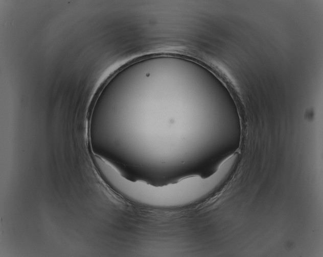 X0000090921324200708271017