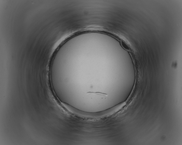 X0000090921325200708271017