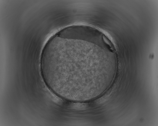 X0000090921327200708271017