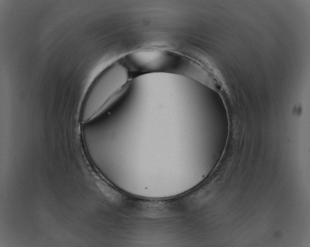 X0000090921328200708271017