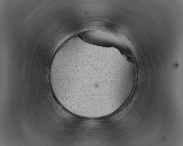 X0000090921329200708271017