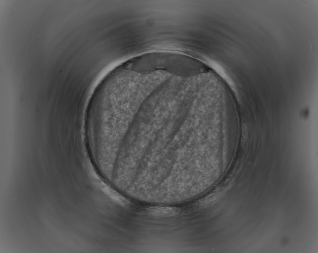 X0000090921331200708271017