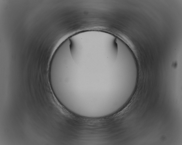 X0000090921332200708271017