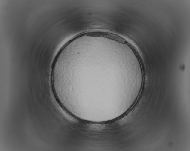 X0000090921333200708271017