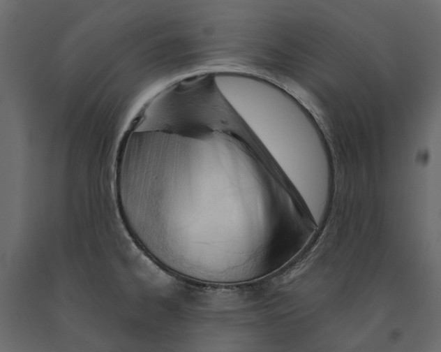 X0000090921334200708271017