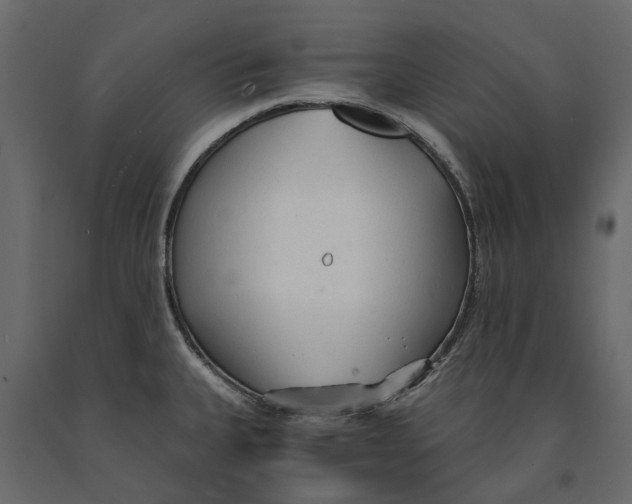 X0000090921335200708271017