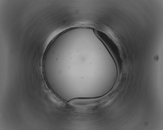 X0000090921336200708271017