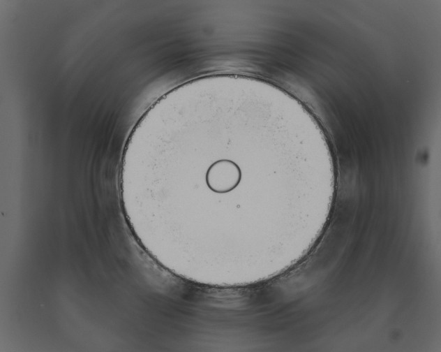 X0000090921338200708271017