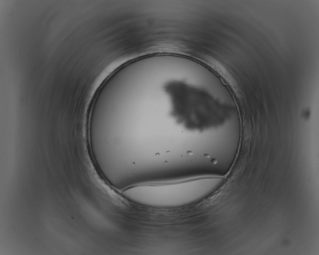 X0000090921339200708271017