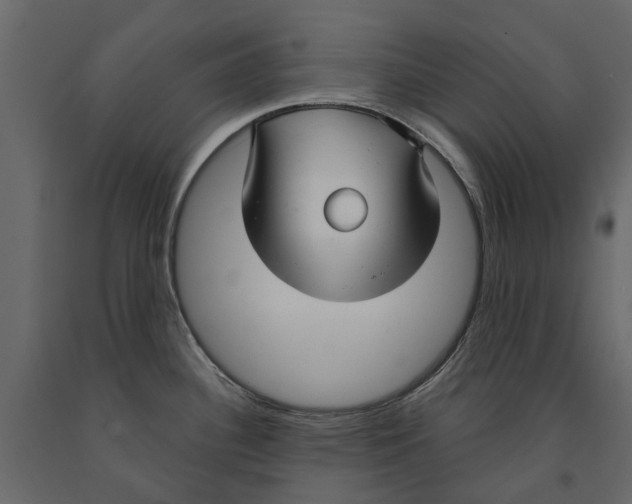 X0000090921340200708271017