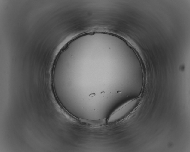 X0000090921341200708271017