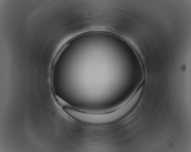 X0000090921342200708271017