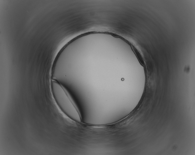 X0000090921343200708271017