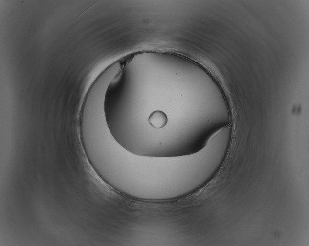 X0000090921344200708271017