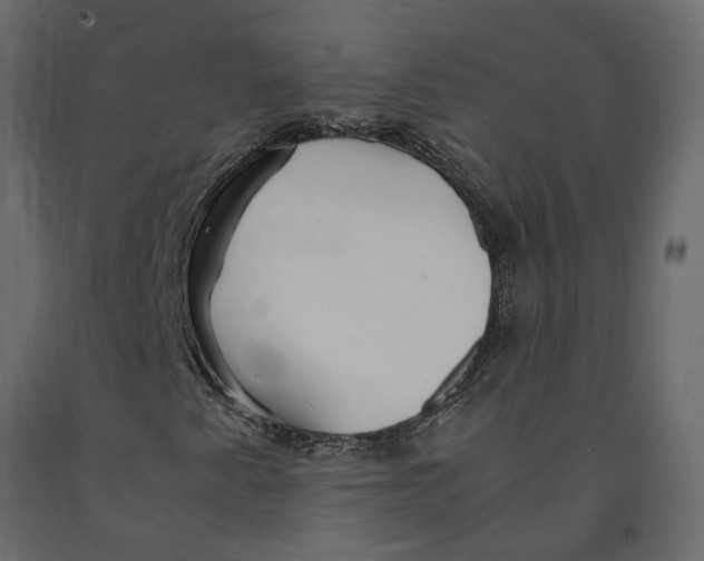 X0000090921345200708271016